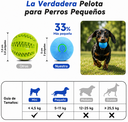 TeckelBall™ | Energía Fuera. Diversión Dentro.