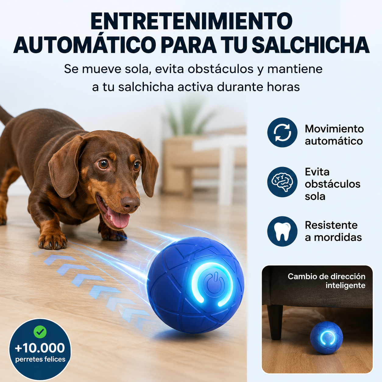 TeckelBall™ | Energía Fuera. Diversión Dentro.