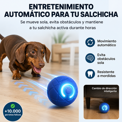 TeckelBall™ | Energía Fuera. Diversión Dentro.