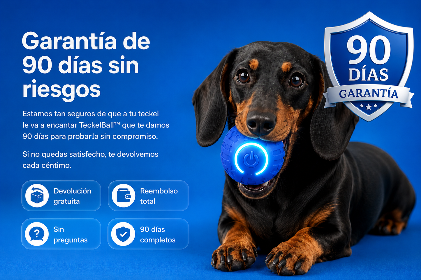 TeckelBall™ | Energía Fuera. Diversión Dentro